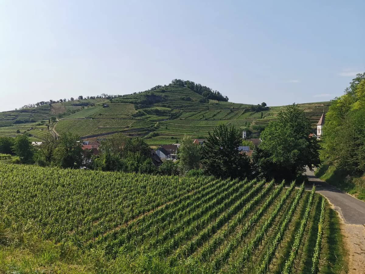 Genusstage im Kaiserstuhl